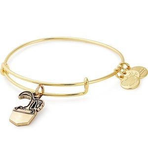 Alex and Ani Bowtruckle bangle